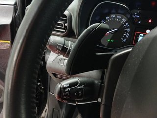 Citroën Berlingo  Talla XL BlueHDi 130 S&S EAT8 Shine