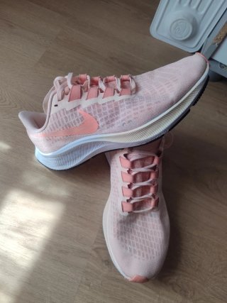 Zapatillas running Nike Pegasus