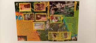 LOTE DE ALBUM DI DINOSAURI