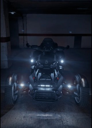 Can-Am Ryker Rally 900