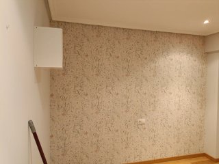 Servicio de Pintura/Pintor