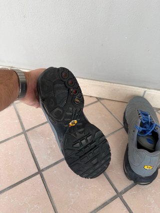 Scarpe Nike Air Max Plus TN Grigie Blu 43