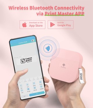 Phomemo etiquetadora portátil bluetooth
