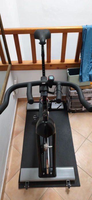 Bicicleta Spinning Bodytone DS20 Rueda 22kg.