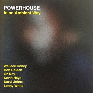 Powerhouse - In An Ambient Way (CD, Album)