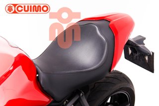 DUCATI MONSTER 821