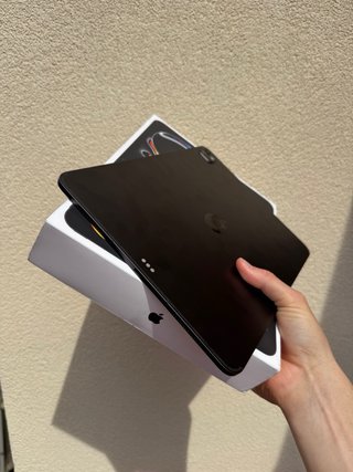 iPad Pro 13 M5 Wifi+Celular