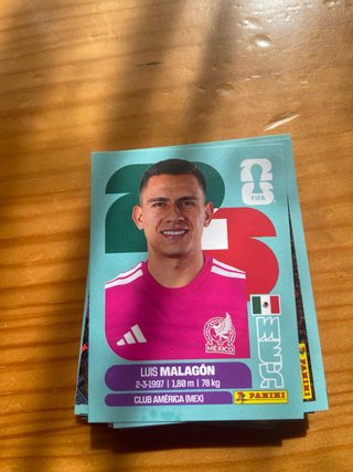 54 Cromos Iscalsan