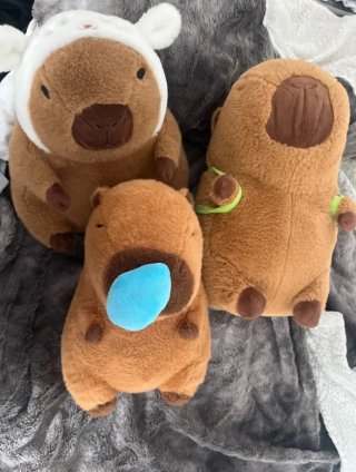 3 Peluches Capibara