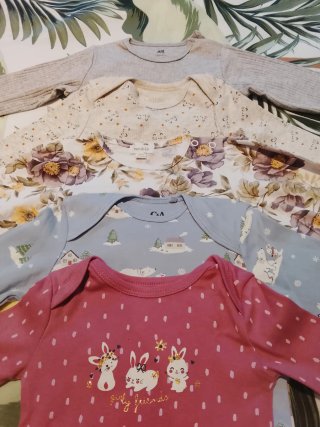 Lote bodies bebé 9-12 meses