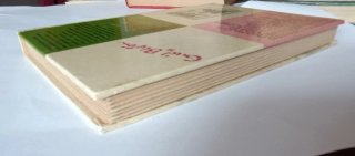 Libro Los siete secretos se divierten  (1972)