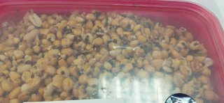 Cubo Carpfishing 5kg Ultimate Mix