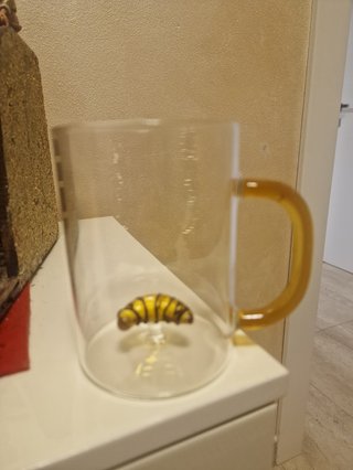 Tazza WD lifestyle in vetro