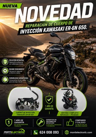 Cuerpo Inyección Kawasaki ER-6N 650