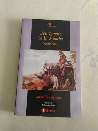 Don Quijote de la Mancha : (antología)