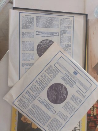 Lote de 20 discos de vinilo de dos tamaños