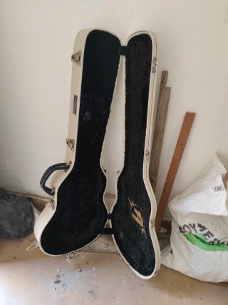 Funda de guitarra blanca
