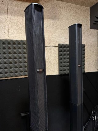 Pareja Altavoces Bose L1 Pro8