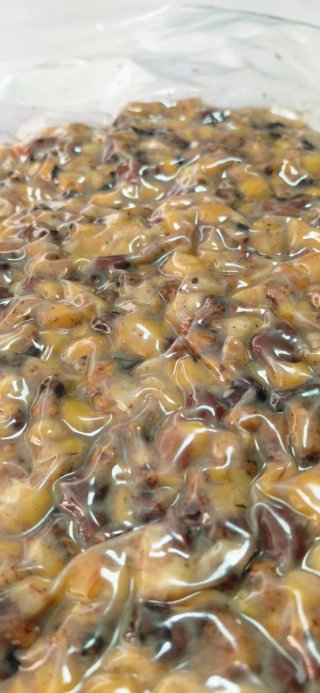 Partículas gruesas para pesca de carpa