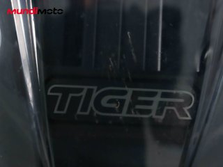 TRIUMPH TIGER 900 GT PRO
