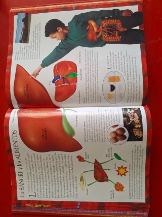 Libro cuerpo humano
