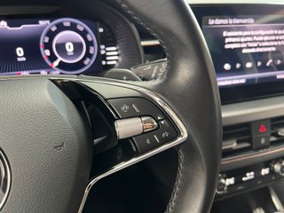 Skoda Kamiq 1.6 TDI 85kW (115CV) DSG Ambition