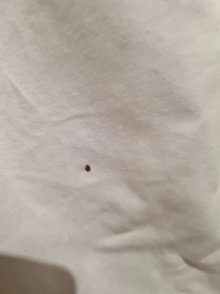 Abito estivo bianco stampa rossa