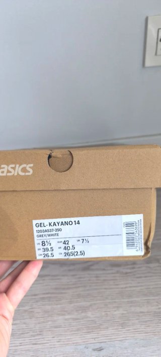 Asics Gel Kayano Beige/Plata