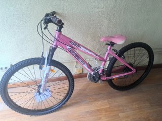 COLUER rosa