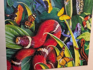 Puzzle 1000 Piezas Animales Jungla Jumbo