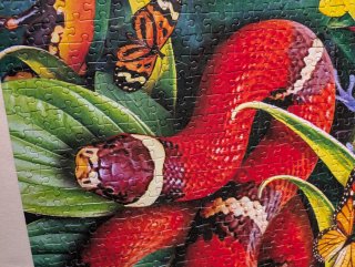 Puzzle 1000 Piezas Animales Jungla Jumbo
