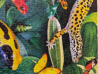 Puzzle 1000 Piezas Animales Jungla Jumbo