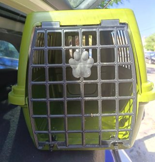 Transportín verde para mascotas