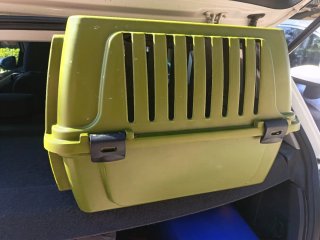 Transportín verde para mascotas