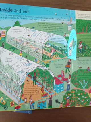 Exploraciones y descubrimientos/Where food comes