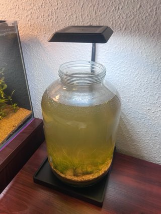 Supporto per illuminazione di acquari e terrari