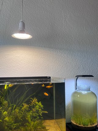 Supporto per illuminazione di acquari e terrari