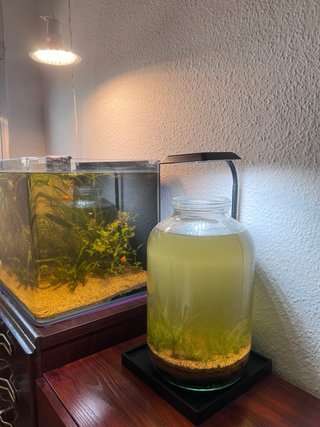 Supporto per illuminazione di acquari e terrari