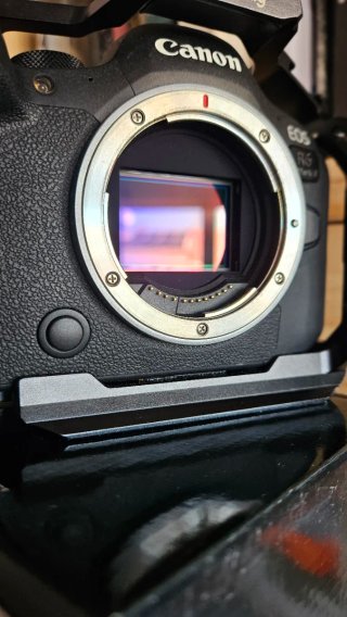 Canon EOS R6 Mark II Cámara