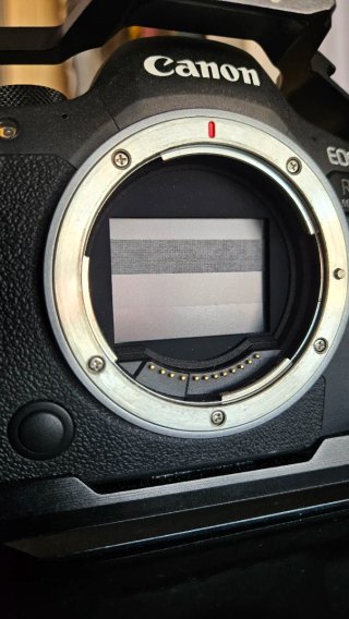 Canon EOS R6 Mark II Cámara