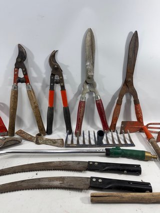 Herramientas de Jardinería Variadas