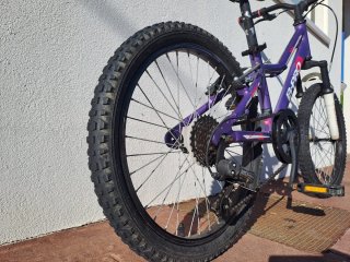 Bicicleta infantil B-PRO 20