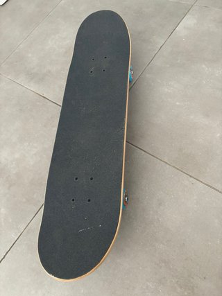 Skate Santa Cruz