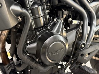 TRIUMPH TIGER 800
