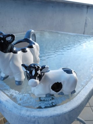 Coppia animaletti porta sale/zucchero