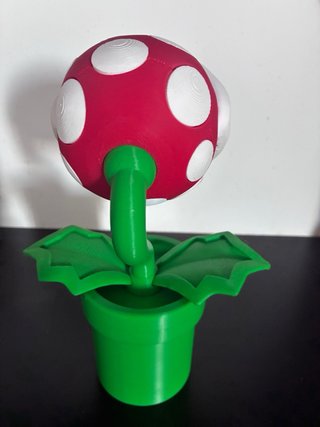 Piranha plant Nintendo 3D