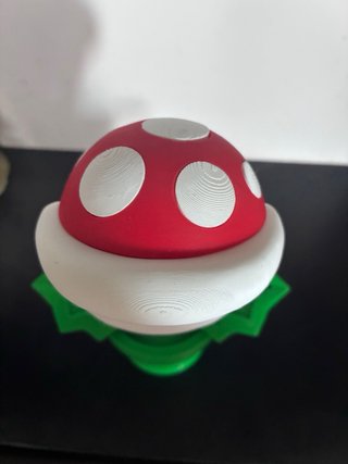 Piranha plant Nintendo 3D