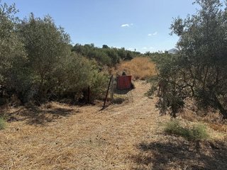 Terreno en venta en Álora