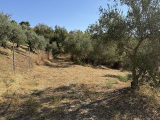 Terreno en venta en Álora