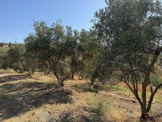 Terreno en venta en Álora